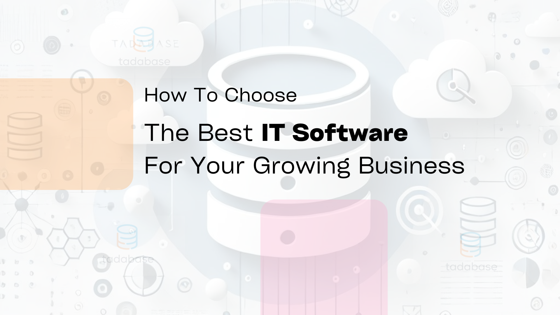 Choosing the Right IT Software for Your Business