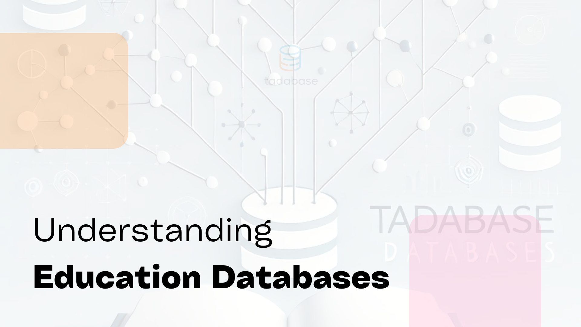 Understanding Education Databases