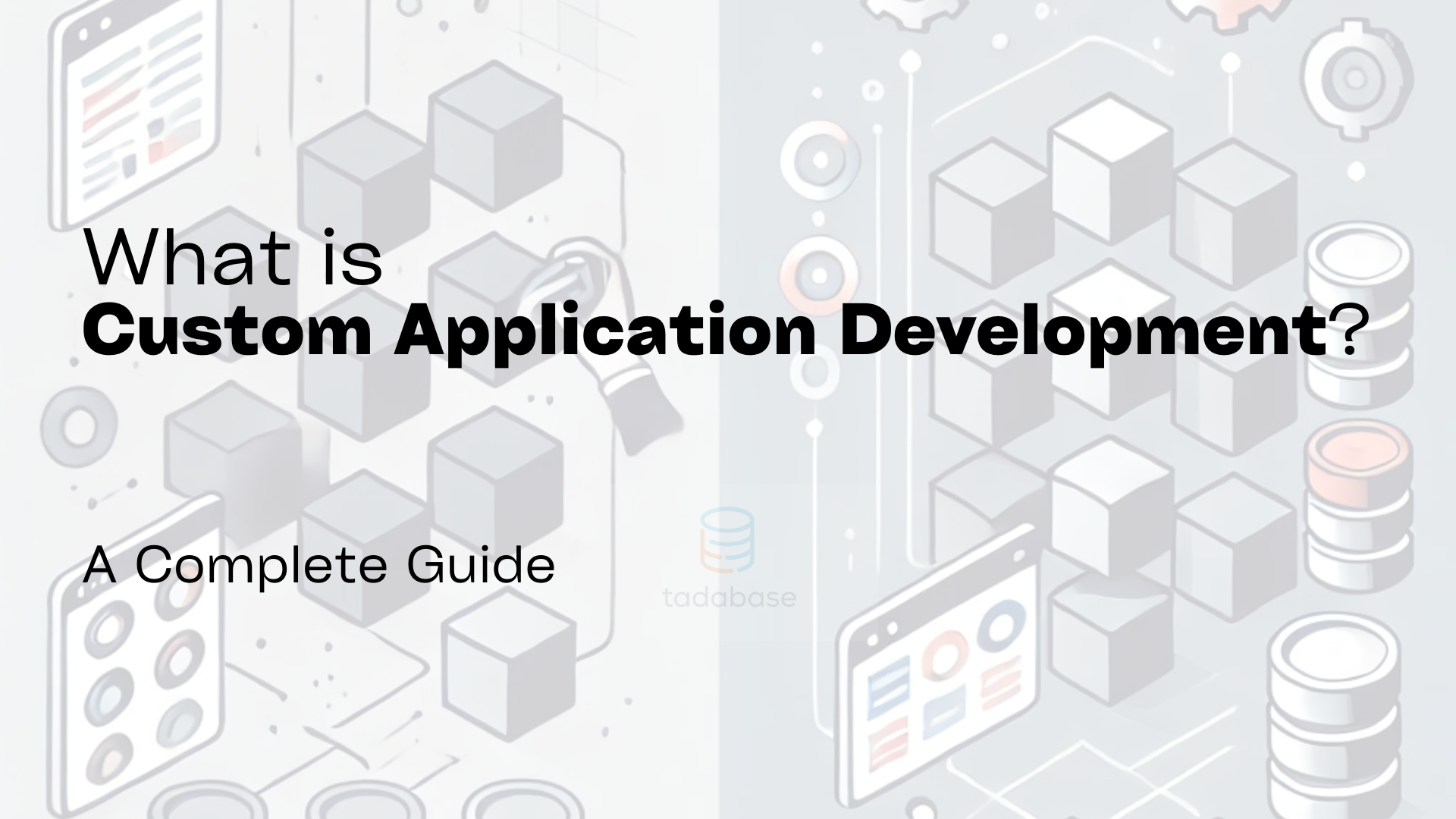 Custom Application Development: A Complete Guide