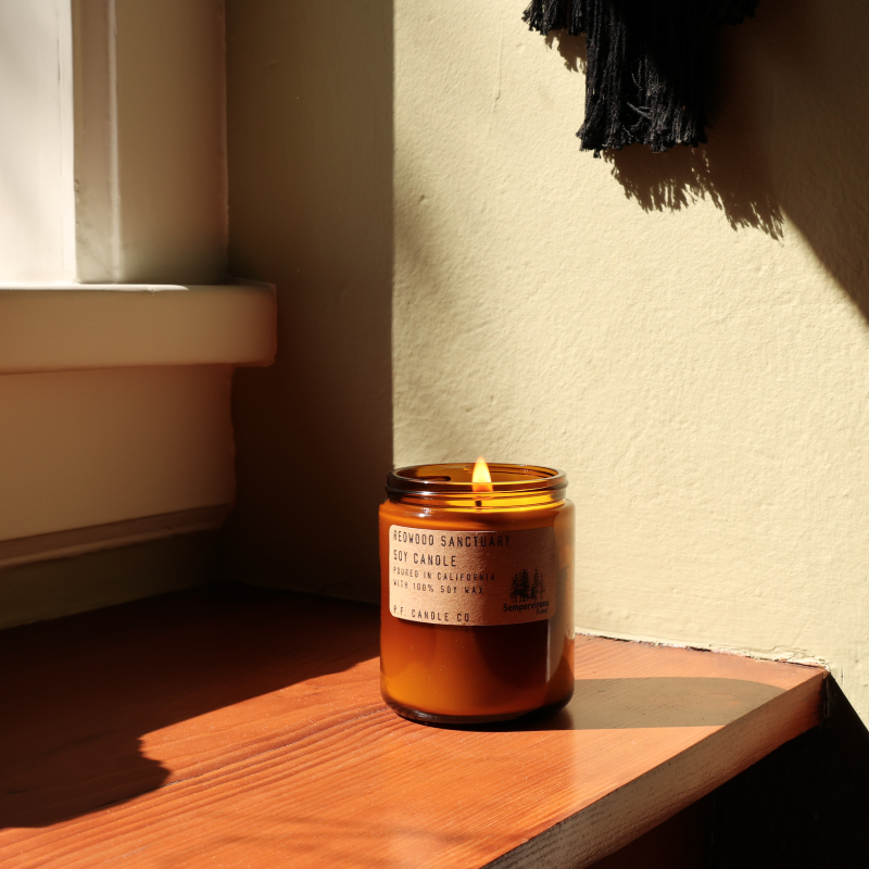 P.F. Candle Co. x Sempervirens - Redwood Sanctuary Candle